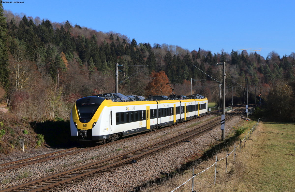 1440 183 als S 9661 (Freiburg(Brsg)Hbf-Villingen(Schwarzw)) bei Aufen 18.11.20