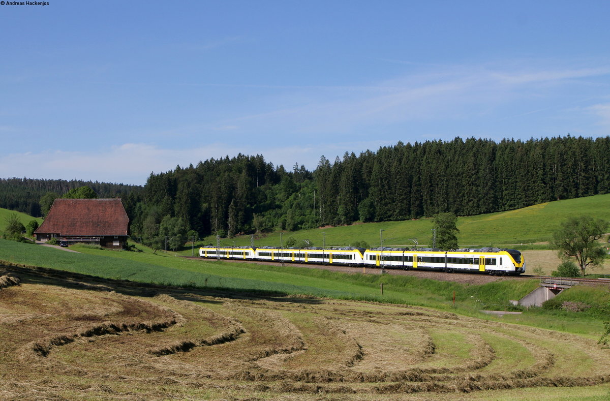 1440 355-4; 1440 171-6 und 1440 354-7 als DbZ 92952 (Radolfzell-Offenburg) bei Stockburg 19.6.19