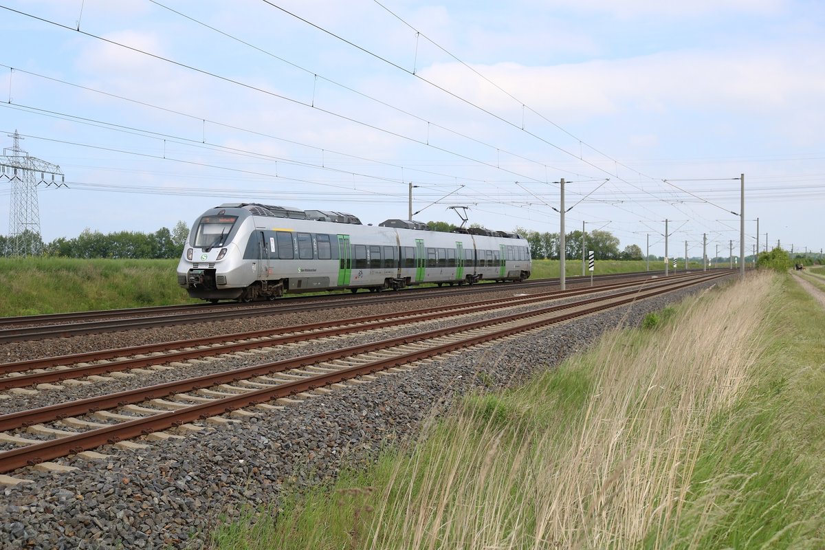1442 100 (Bombardier Talent 2) der S-Bahn Mitteldeutschland als S 37572 (S5) von Zwickau (Sachs) Hbf nach Halle(Saale)Hbf fährt bei Benndorf auf der Bahnstrecke Magdeburg–Leipzig (KBS 340). [25.5.2017 - 15:16 Uhr]