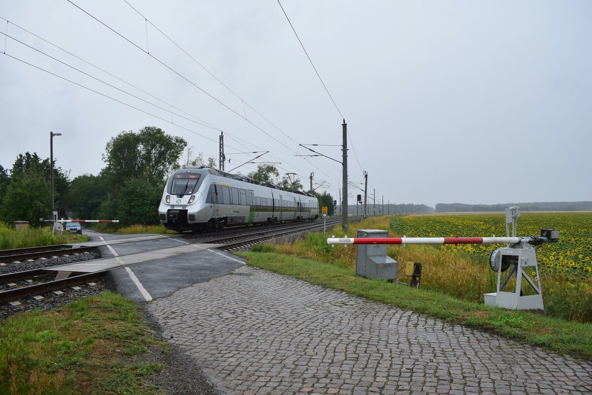 1442 107 rauscht als S4 nach Torgau über den Bahnübergang Wurzener Straße in Richtung Mockrehna.

Mockrehna 27.07.2023