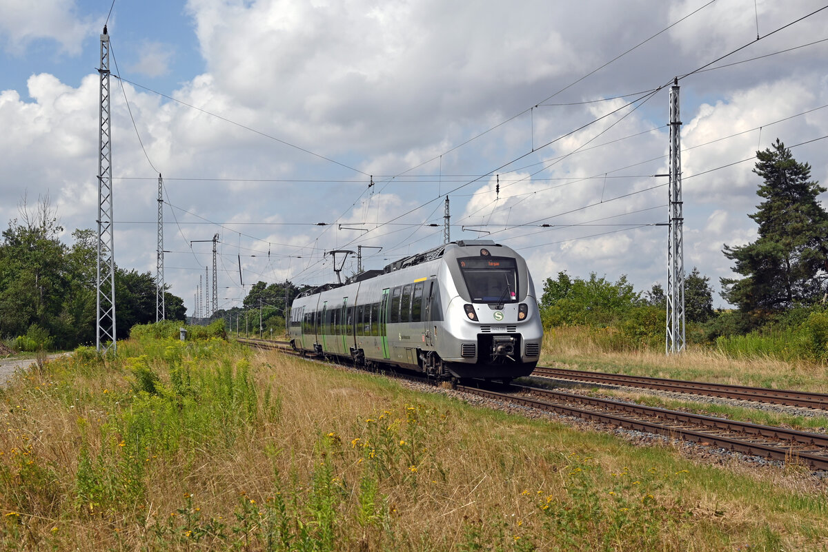 1442 135 der S-Bahn Mitteldeutschland verkehrte am 02.08.26 als S4 von Wurzen nach Torgau und erreicht soeben Jesewitz.