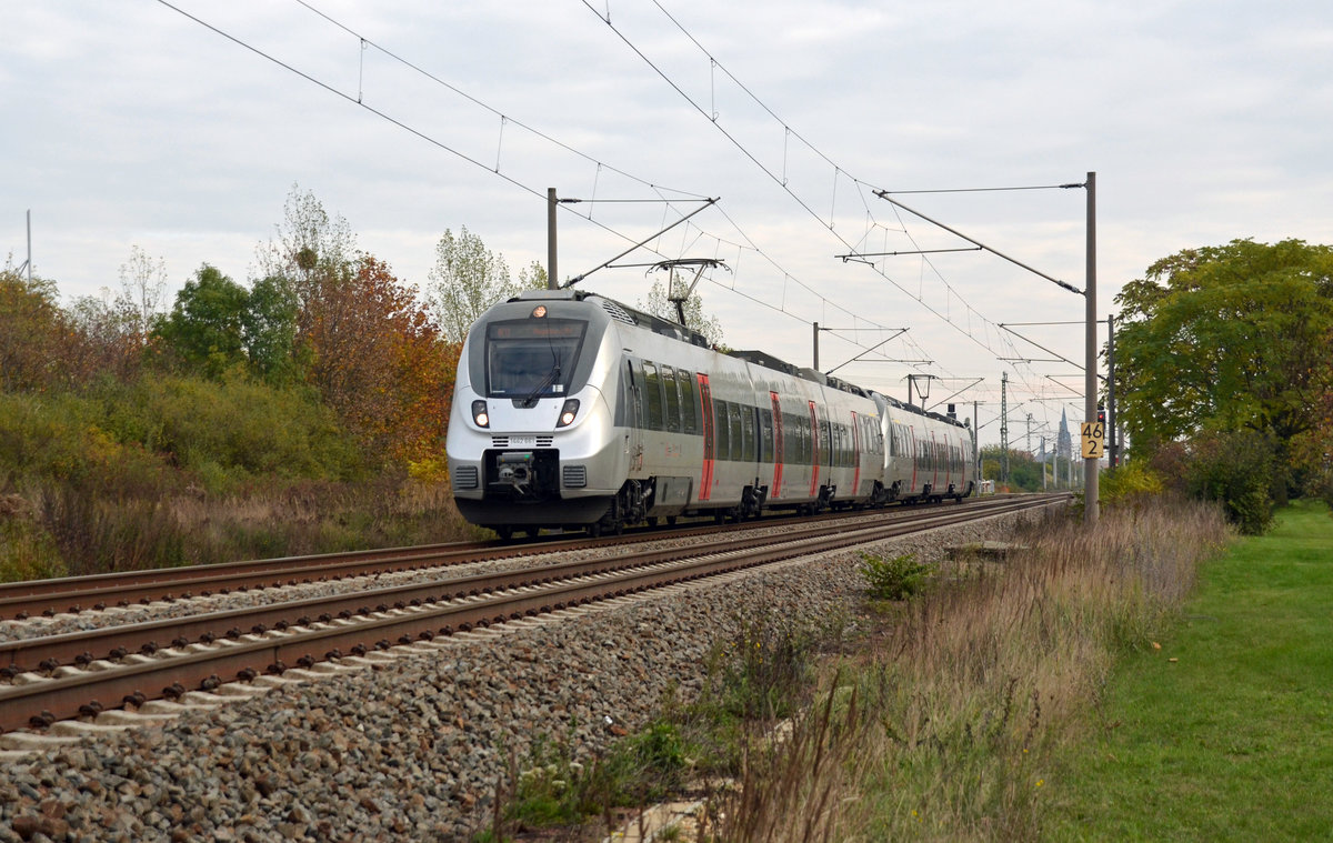 1442 161 und ein weiterer Talent 2 der S-Bahn Mitteldeutschland rollten am 23.10.16 als RE13 von Leipzig nach Magdeburg durch Greppin.
