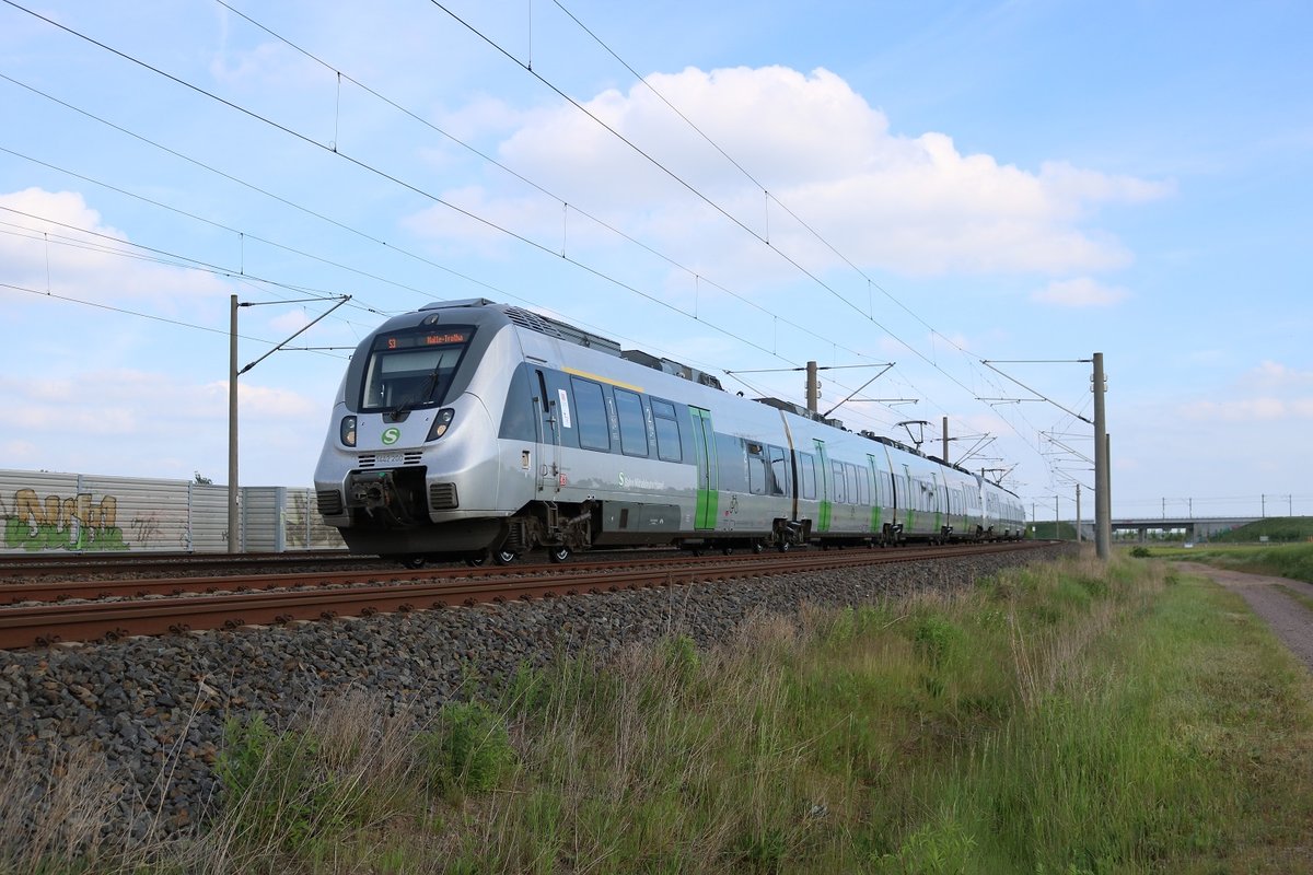 1442 200 und 1442 705 (Bombardier Talent 2) der S-Bahn Mitteldeutschland als S 37346 (S3) von Borna (Leipzig) nach Halle-Trotha fährt bei Benndorf auf der Bahnstrecke Magdeburg–Leipzig (KBS 340). [25.5.2017 - 17:06 Uhr]