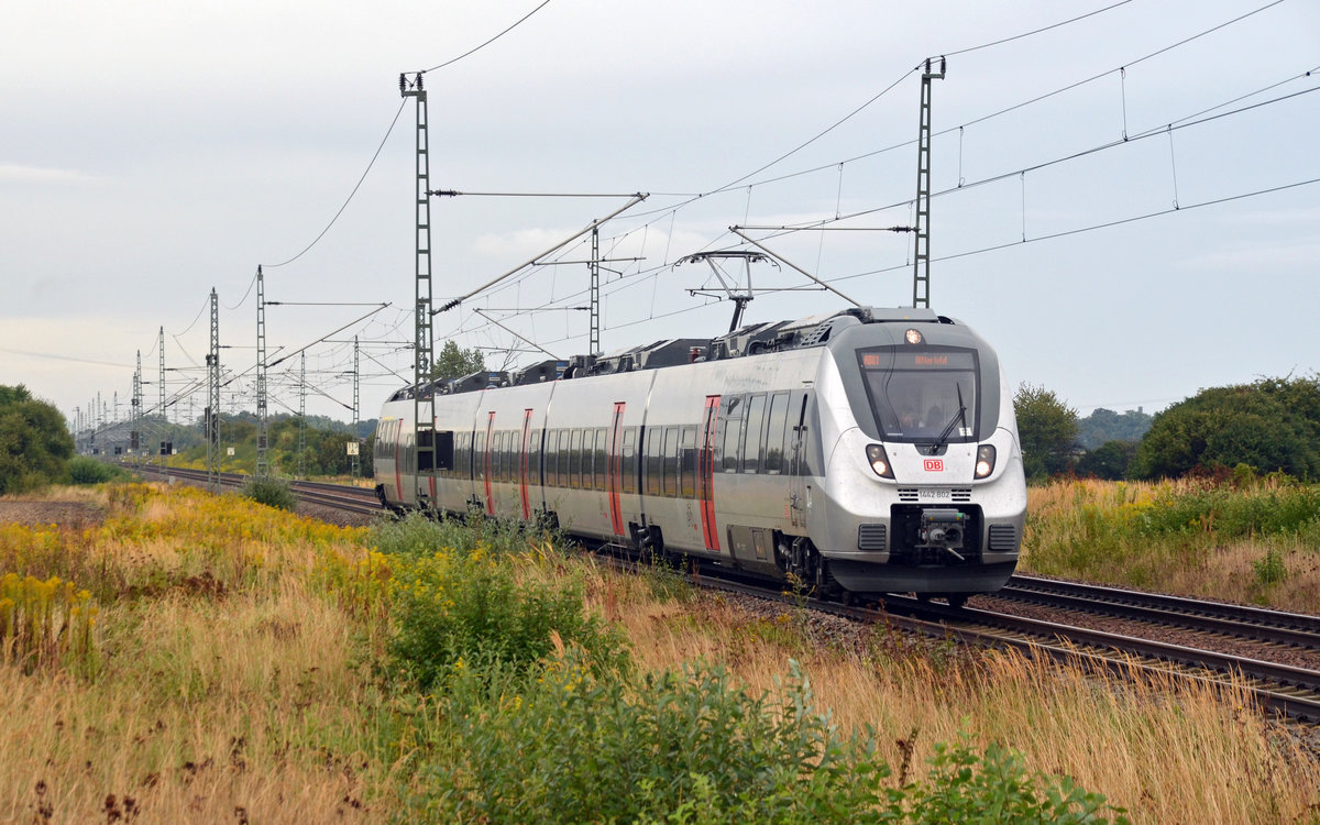 1442 302 erreicht am 04.09.16 als RB von Falkenberg(Elster) nach Bitterfeld in Kürze den haltepunkt Gräfenhainichen.