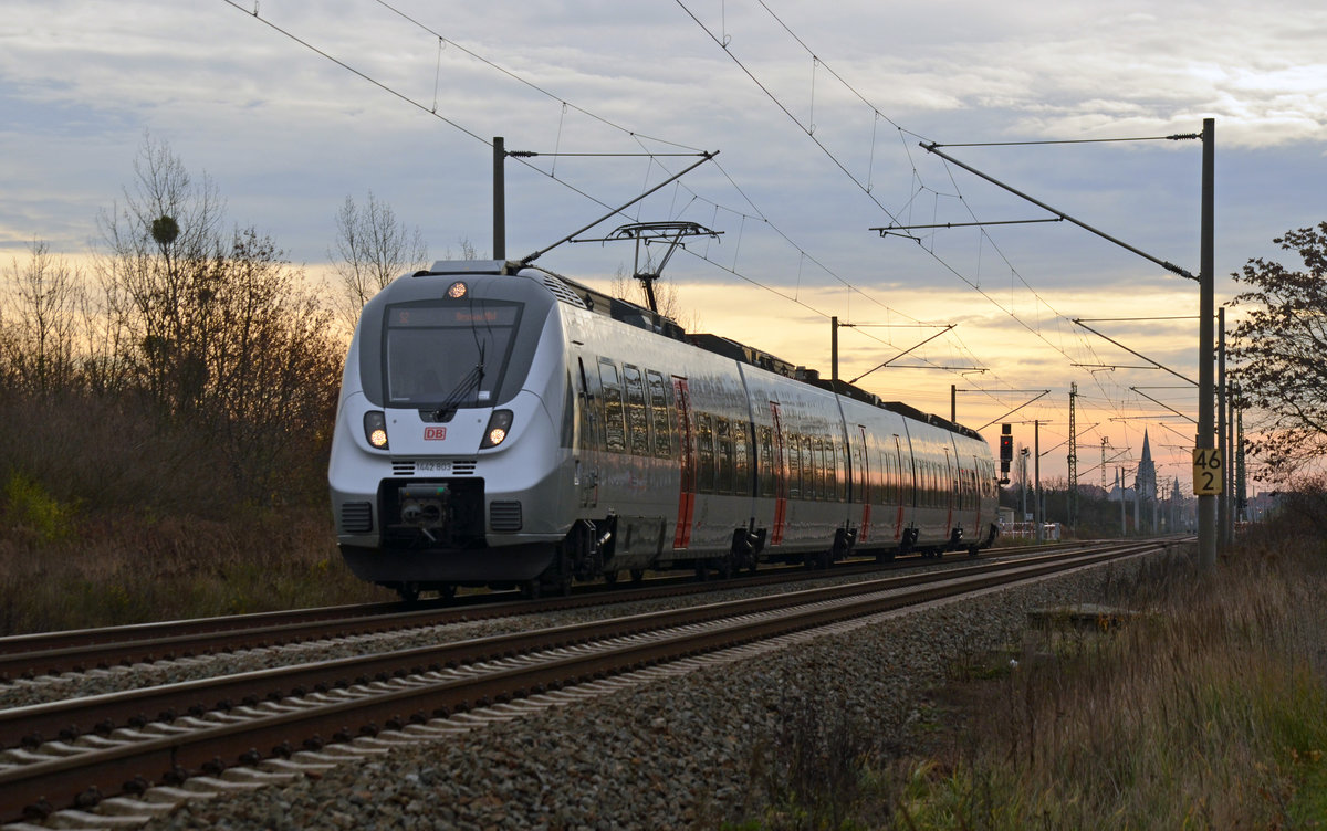 1442 303 war am 22.11.16 von Leipzig-Connewitz aus nach Dessau unterwegs. Nach dem der Hamster Bitterfeld verlassen hatte rollte er durch Greppin und wird gleich am dortigen Haltepunkt zum Stehen kommen. 