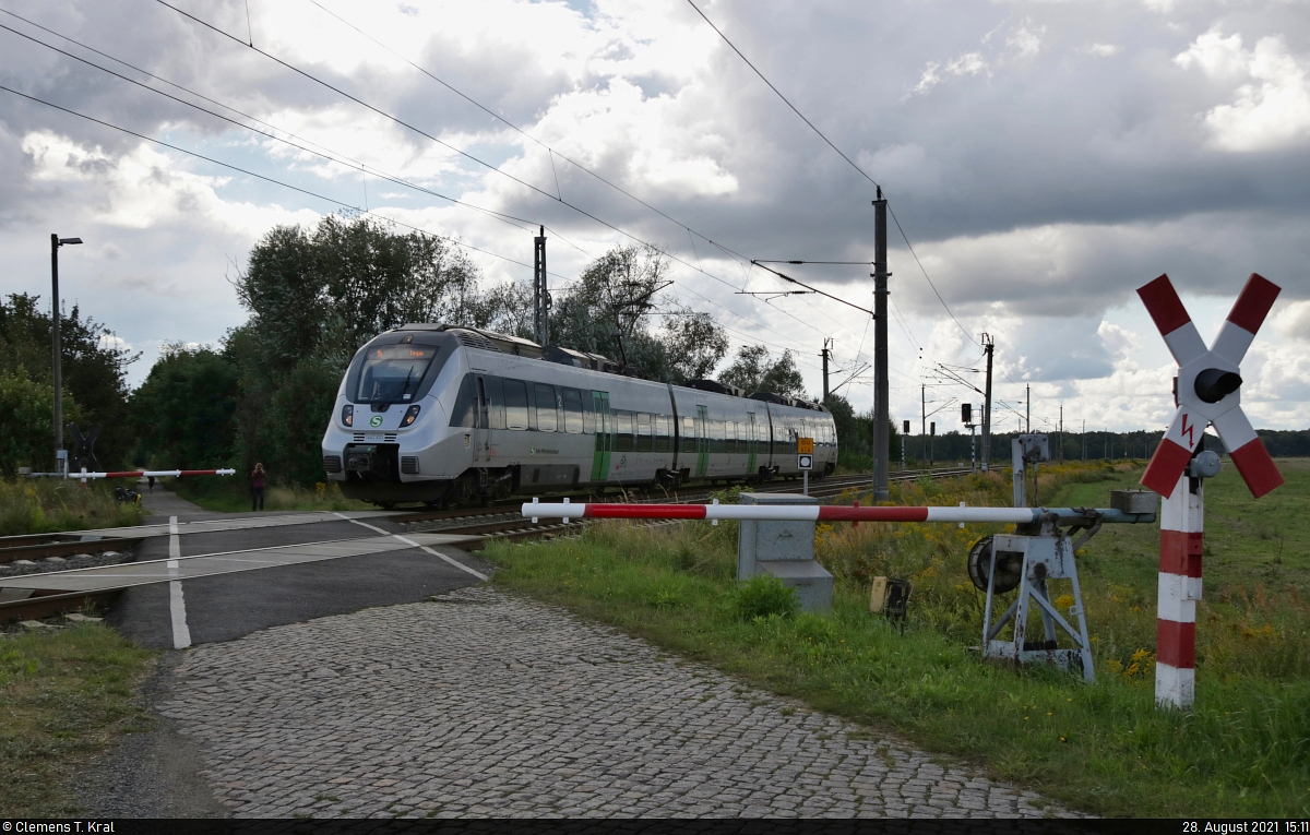 1442 603 (Bombardier Talent 2) unterwegs auf dem Bahnübergang Wurzener Straße in Mockrehna.
Aufgenommen im Gegenlicht.

🧰 S-Bahn Mitteldeutschland (DB Regio Südost)
🚝 S 37438 (S4) Markkleeberg-Gaschwitz–Torgau
🚩 Bahnstrecke Halle–Cottbus (KBS 219)
🕓 28.8.2021 | 15:11 Uhr