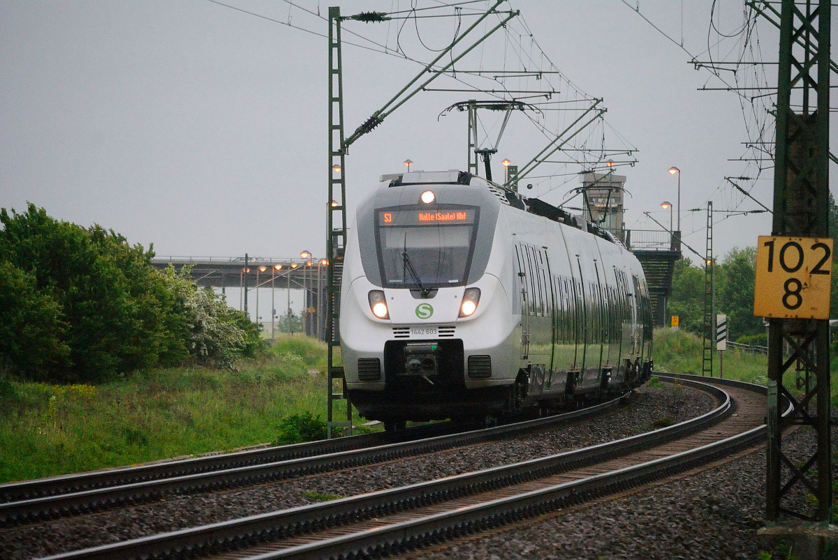 1442 603 der S-Bahn Mitteldeutschland kurz hinter dem Haltepunkt Schkeuditz West. (15.05.2016)