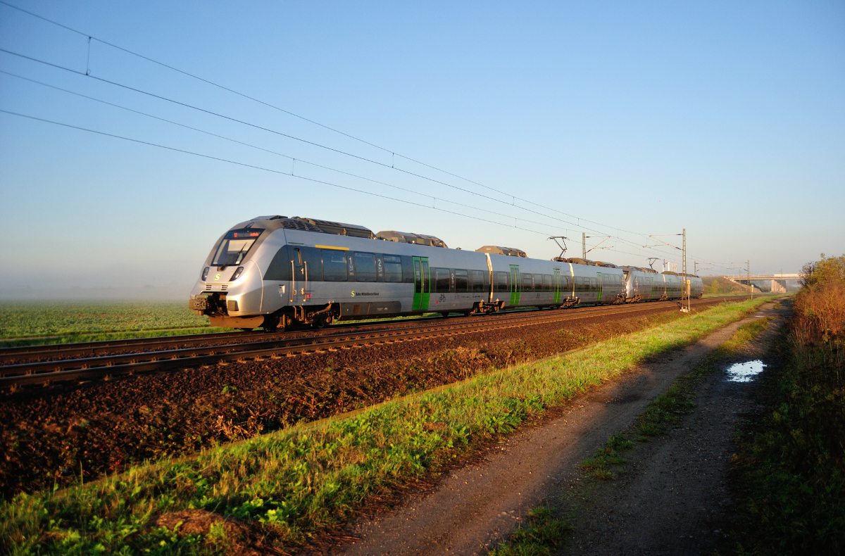 1442 als S3 der Mitteldeutschen S-Bahn von Halle/Saale nach Geithain. Kurz vor dem nächsten Halt in Schkeuditz-West, am 16.10.2016.
