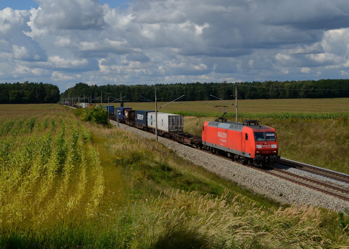 145 058 mit einem Containerzug am 27.08.2014 bei Frankfurt-Rosengarten.