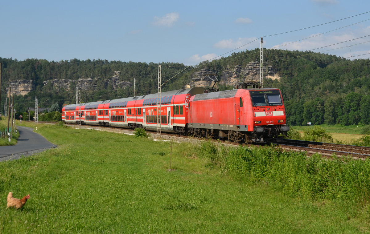 146 011 führte am 13.06.19 eine S-Bahn nach Bad Schandau durch Strand vorbei am freilaufenden Huhn. 