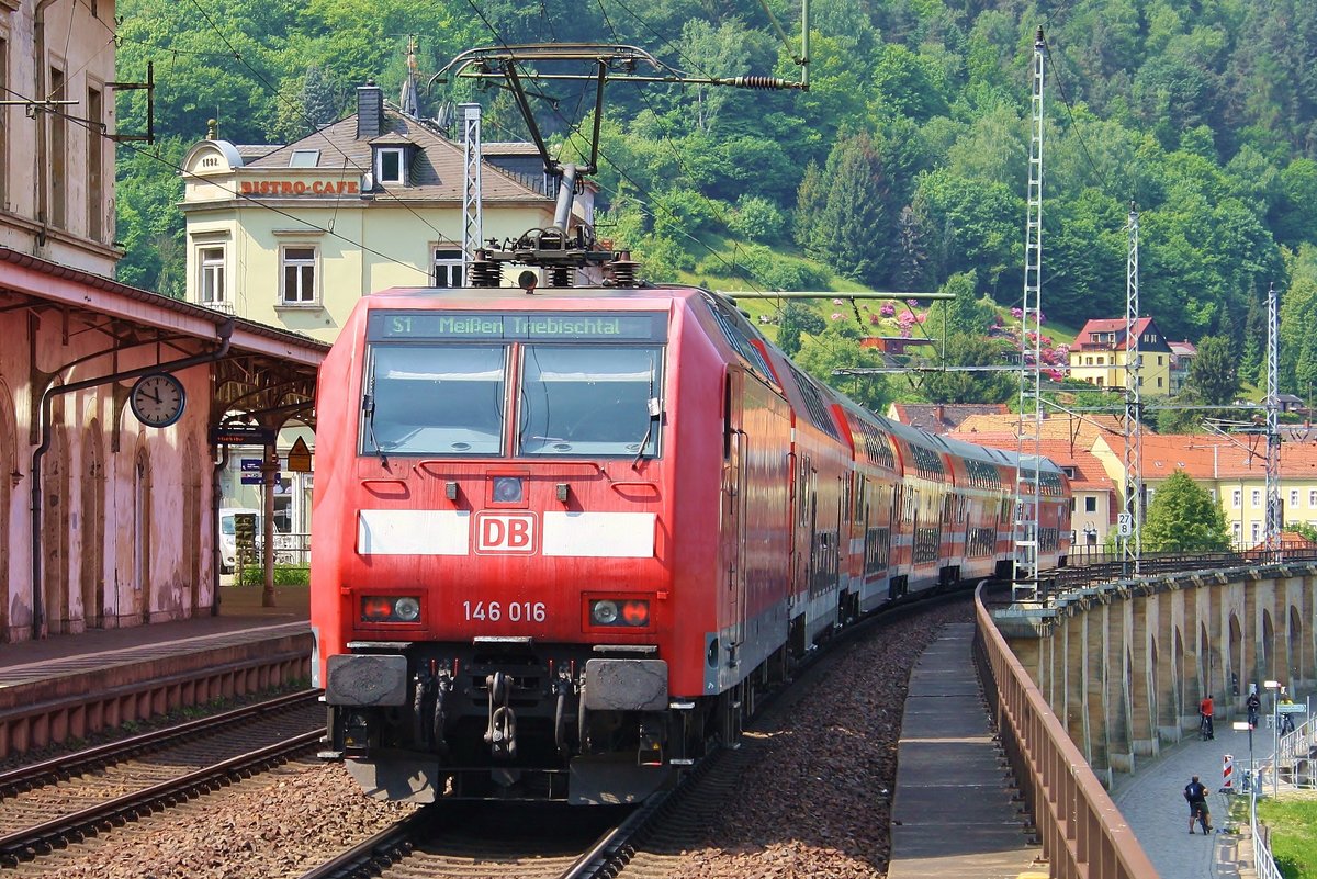146 016 schiebt am 11.05.2018 die S1 von Schöna nach Meißen Triebischtal aus Königsstein.