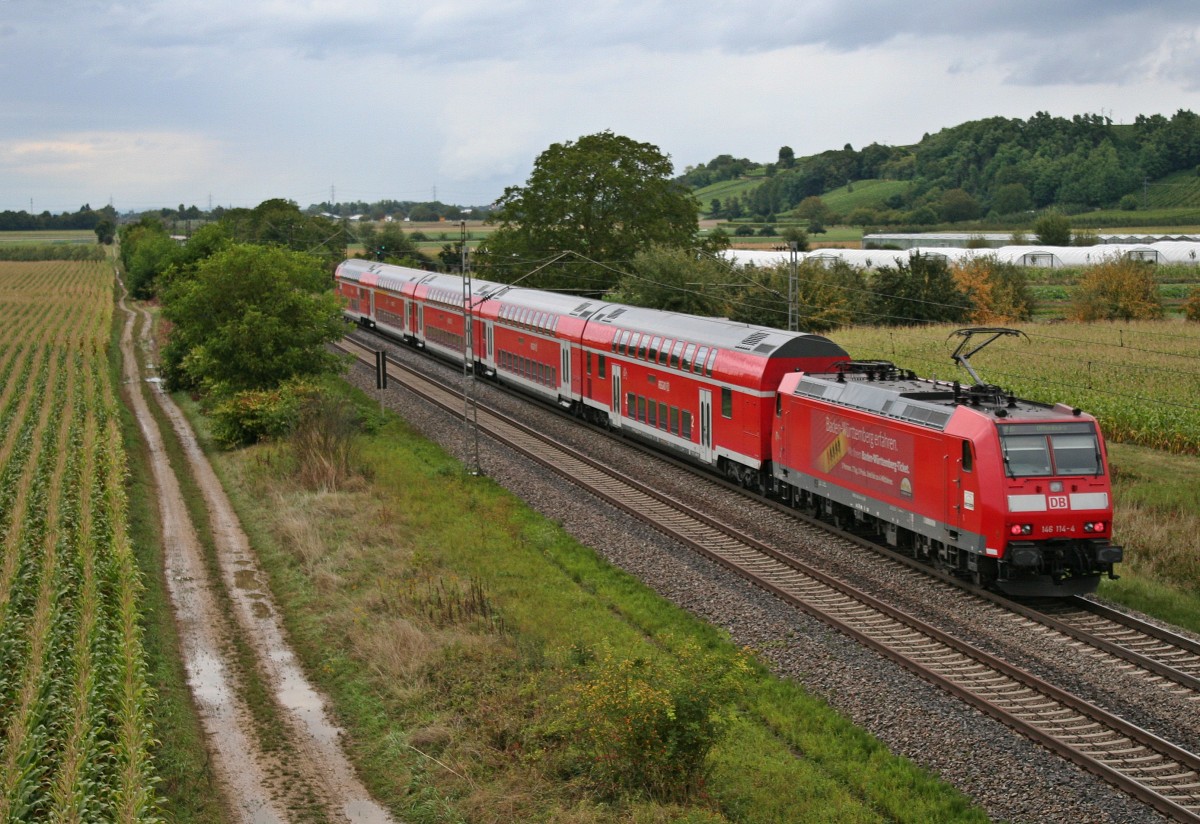 146 114-4 mit einem RE von Basel nach Offenburg am Nachmittag des 12.09.13 nrdlich des Weinortes Hgelheim.