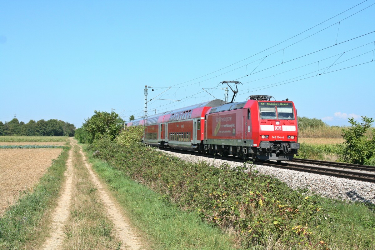146 114-4 mit einer RB nach Neuenburg (Baden) am Nachmittag des 05.09.13 s�dlich des Haltepunktes Buggingen.