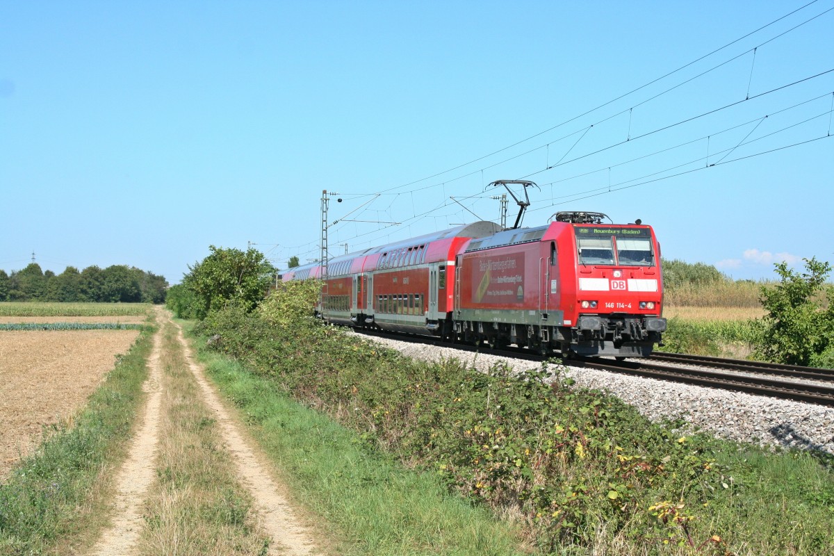 146 114-4 mit einer RB nach Neuenburg (Baden) am Nachmittag des 05.09.13 sdlich des Haltepunktes Buggingen.