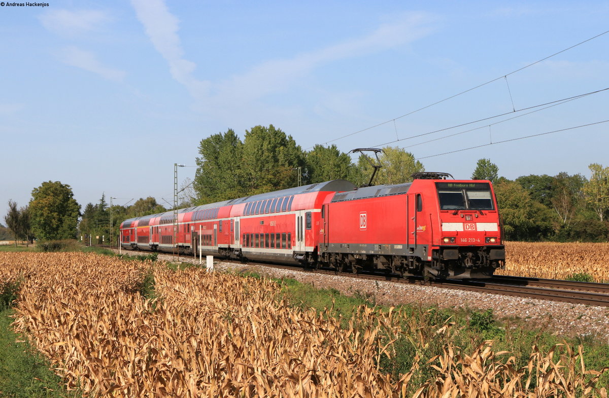 146 213-4 mit der RB 17123 (Offenburg-Freiburg(Brsg)Hbf) bei Riegel 20.9.20