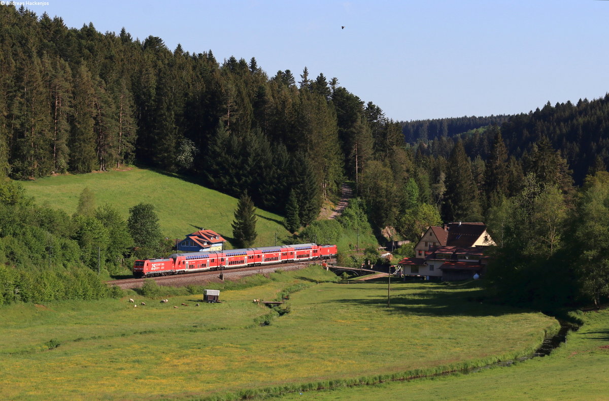 146 221-7  25 Jahre RAB  und 146 224-1 mit dem RE 4734 (Konstanz-Karlsruhe Hbf) bei Stockburg 27.5.20