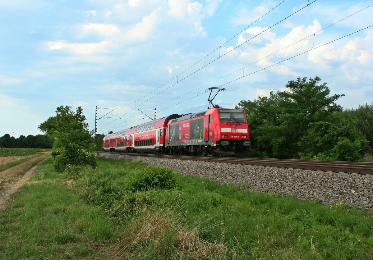146 236-5 mit einer RB nach Freiburg (Breisgau) Hbf am Nachmittag des 03.08.13 kurz vor Buggingen.