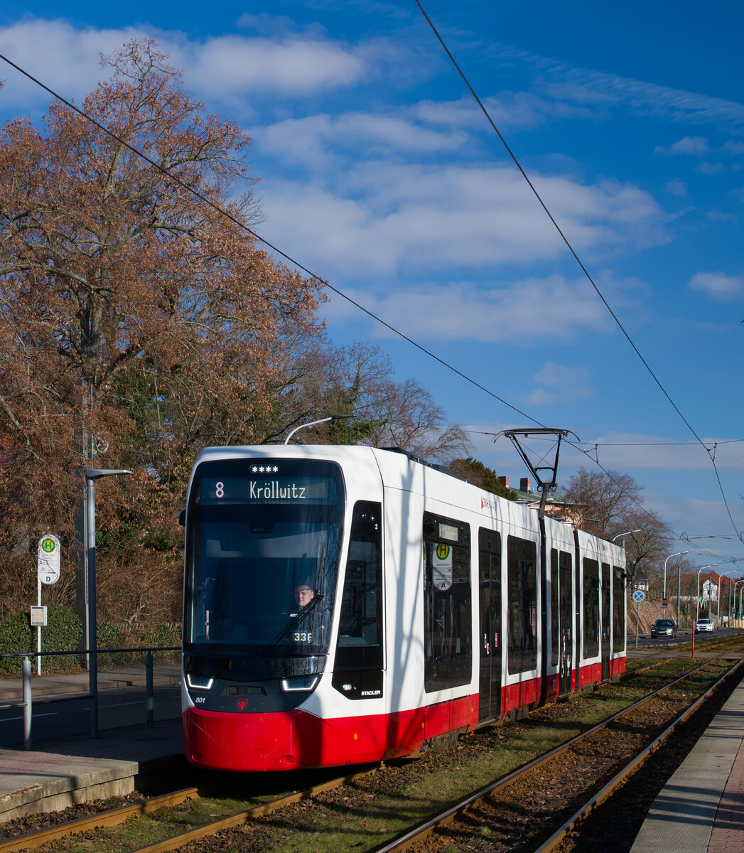 15. Februar 2026: Der Stadler TINA / MGT-M 801 der HAVAG zeigt sich als Überraschungsgast auf der umgeleiteten Straßenbahnlinie 8 in Halle. Er darf erst seit Kurzem -  als Erster der neuesten Dreiwagenfahrzeuge für die Saalestadt - gelegentlich Gehversuche im hiesigen Straßenbahnnetz unternehmen. Hier legt 801 einen letzten Zwischenstopp an der Haltestelle Schwuchtstraße ein, bevor er seinen derzeitigen Endhalt Kröllwitz ansteuert.