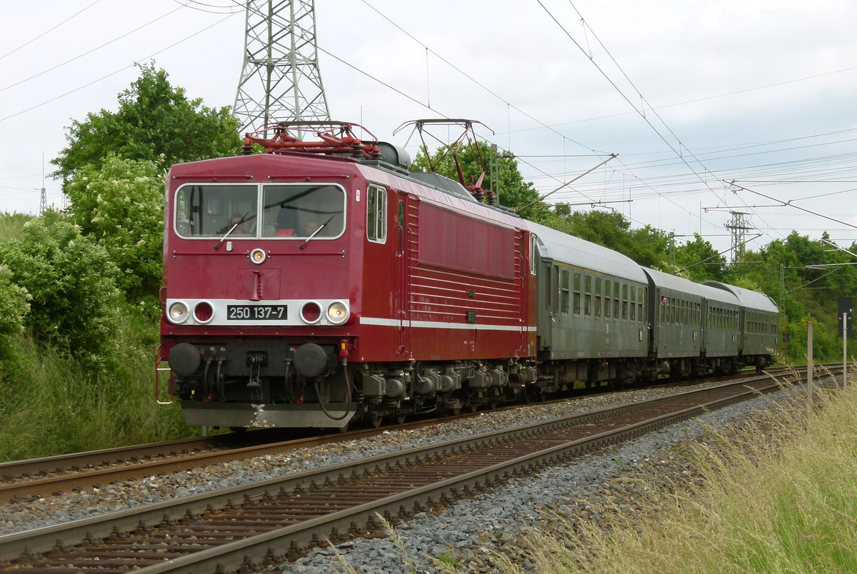 15. Juni 2013, Im DR-Look kommt mir 250 137 (LEW 1981) der Leipziger Eisenbahnverkehrsgesellschaft mit einem Sonderzug in der Zettlitzer Kurve entgegen. Die Fahrgäste freuen sich auf den Besuch bei PIKO Sonneberg, wo heute der Tag der Offenen Tür veranstaltet wird.