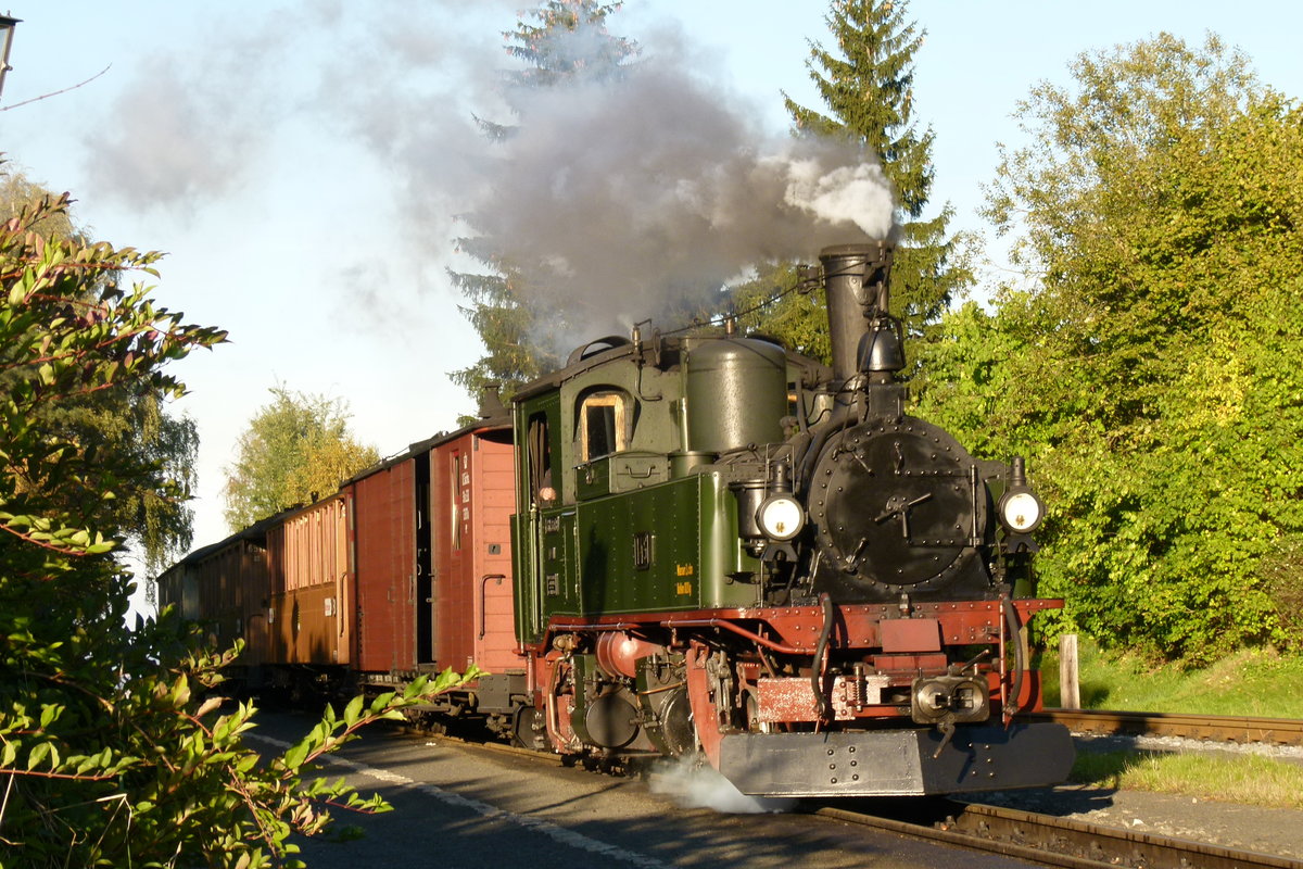 15.10.2011, Bahnhof Jonsdorf, Der Abendzug fährt ein: es ist der sogenannte  Sachsenzug  mit Lok IVK 145 (99 555)