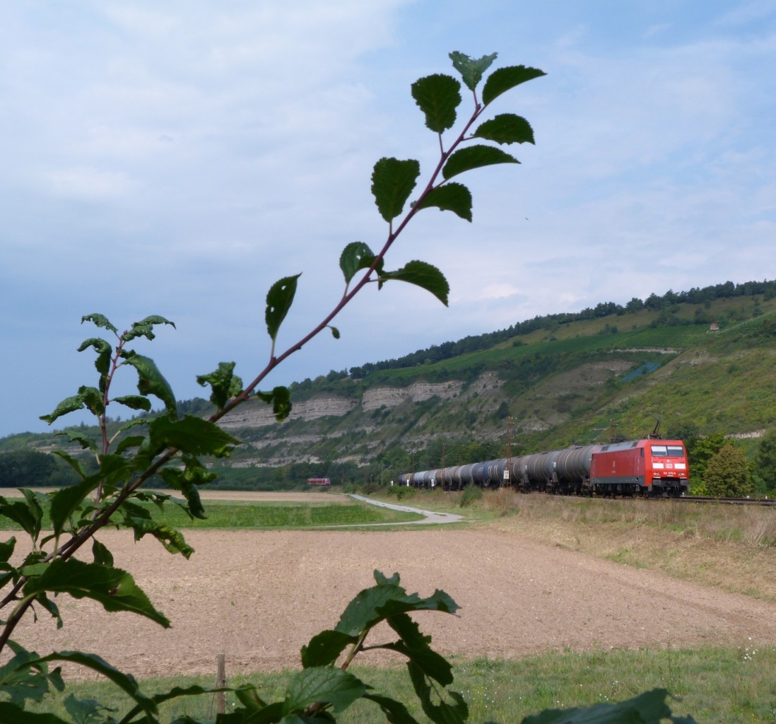 152 079 durchfährt am 7.9.13 mit einem Kesselzug das Maintal Richtung Würzburg.
Festgehalten kurz vor Thüngersheim.
Im Hintergrund sieht man noch eine Baureihe 440 Richtung Gemünden (Main).