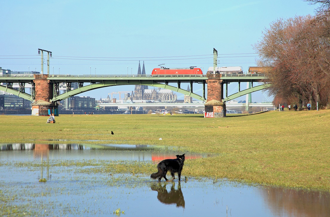 152 133, Köln Südbrücke, 25.02.2021.