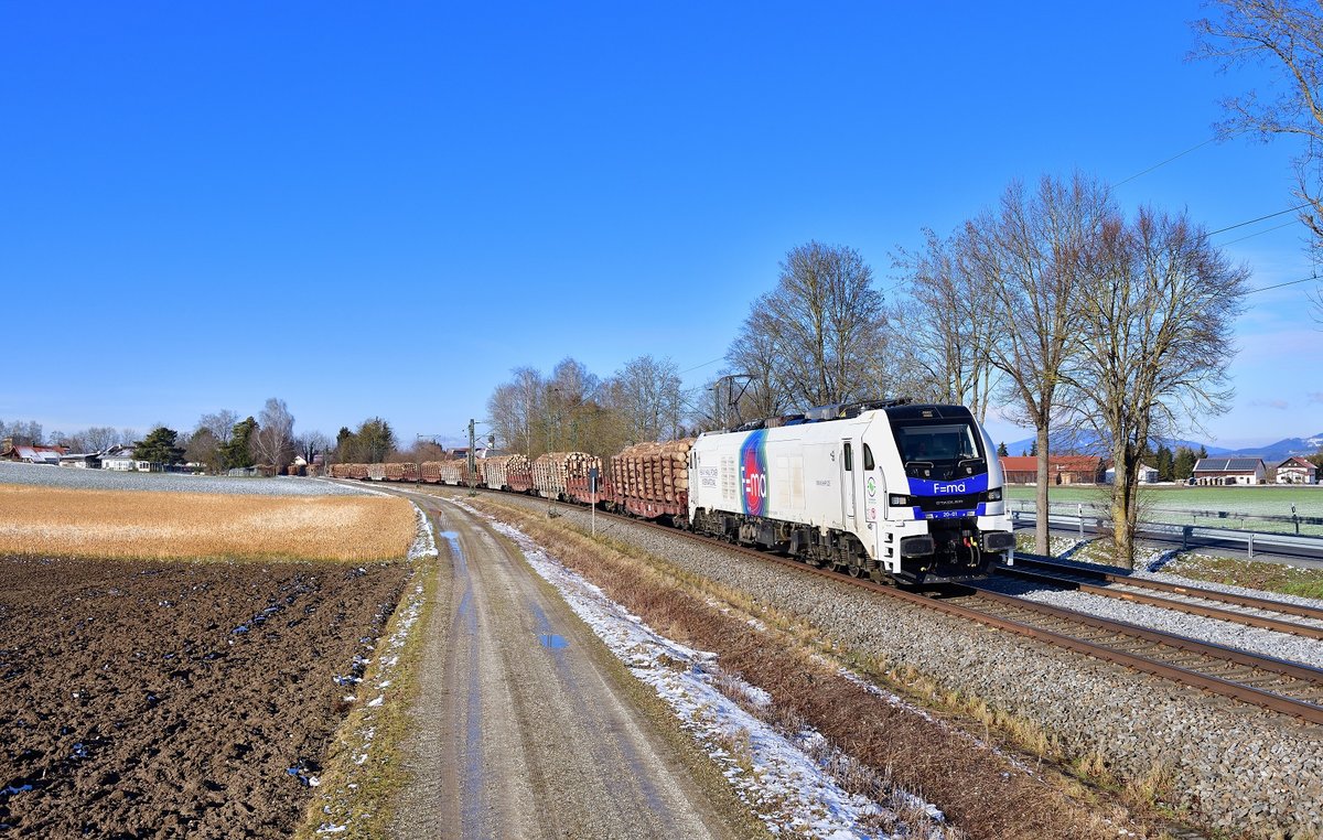 159 201 mit einem Holzzug am 31.01.2021 bei Langenisarhofen.