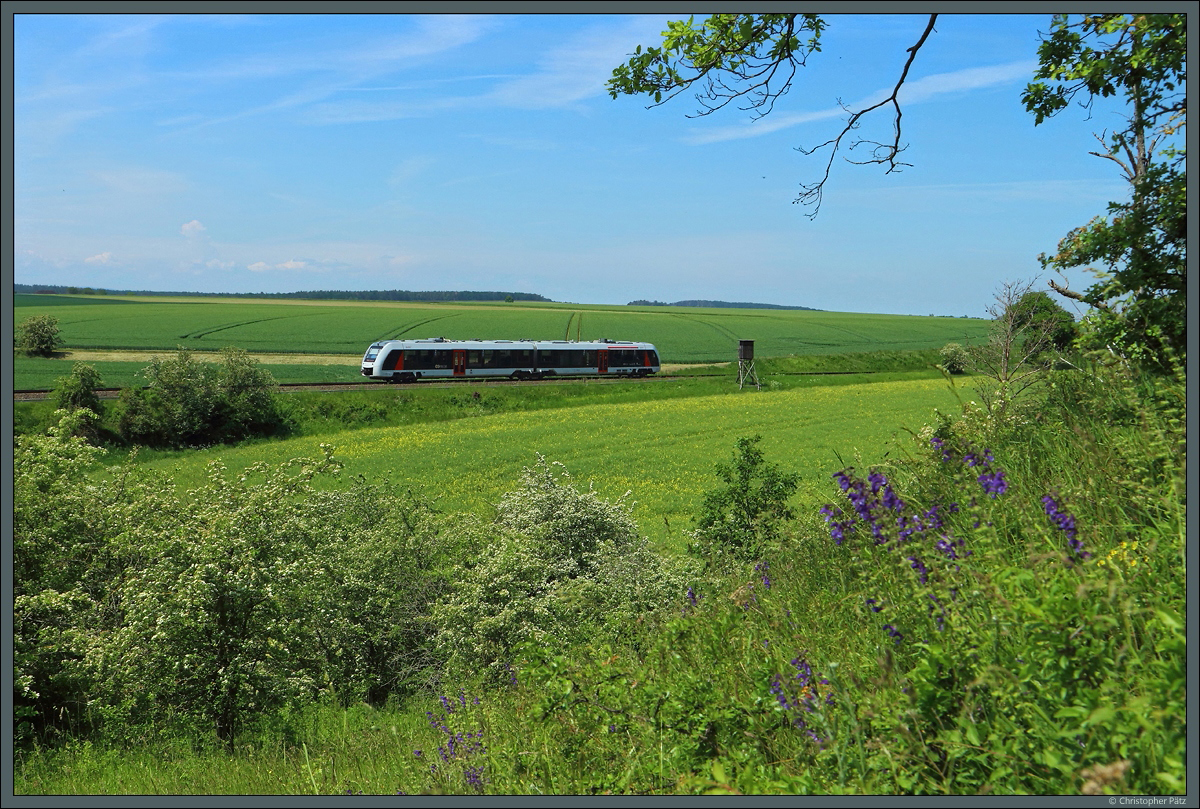 1648 915 der Abellio Rail Mitteldeutschland rollt am 04.06.2021 durch die Felder bei Börnecke. 