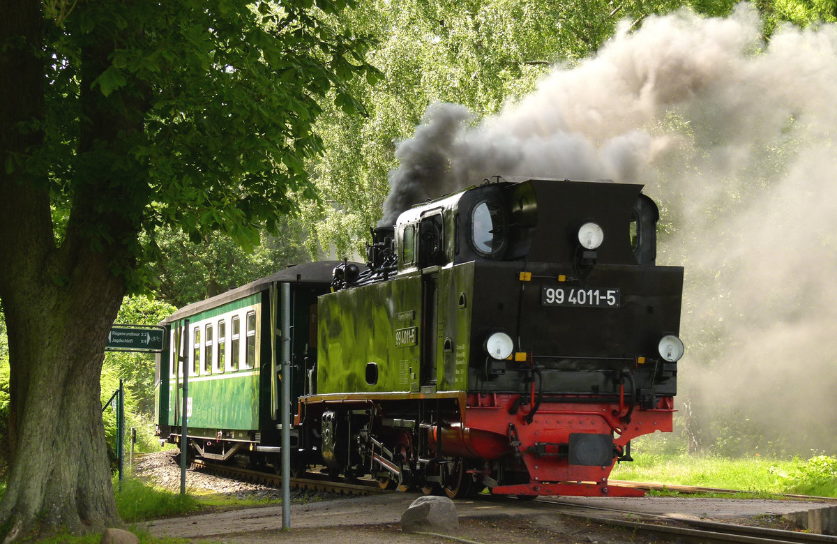 17. Juni 2011, Rügensche Schmalspurbahn, Am Haltepunkt Garftitz fährt P227 von Binz ein.