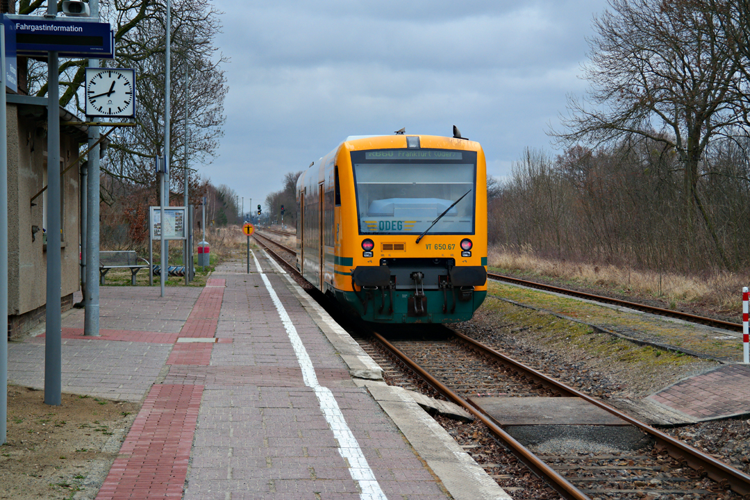 17. März 2014 - Ausfahrt eines ODEG Triebwagens (VT 650.77  Oderbruch Hauptstadt Wriezen ) nach Frankfurt (Oder).