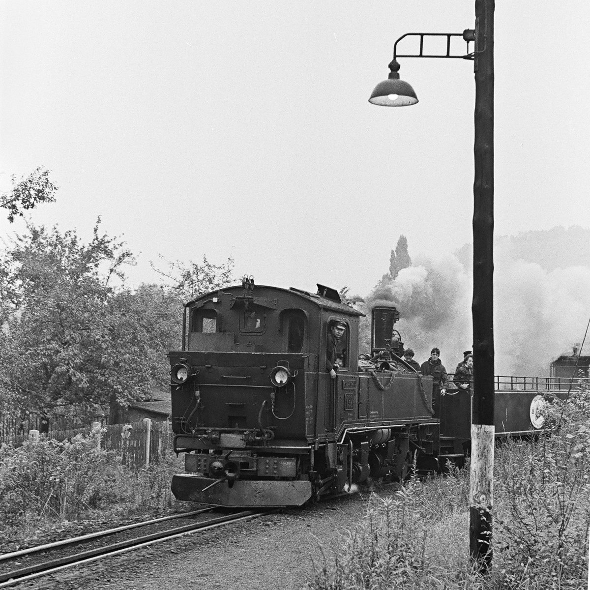 17. Oktober 1981, den zum Jubiläum „100 Jahre Sächsische Schmalspurbahnen“ mit der Lokomotive 132 der K.Sä.Sts.E.B. (99 539) verkehrenden Festzug erwartete ich im Haltepunkt Radebeul-Weintraube,
