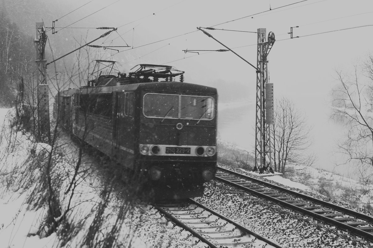 18. Februar 1985: Bei Königstein in der Sächsischen Schweiz fährt ein Güterzug, gezogen von der Lok 250 229 in Richtung Bad Schandau - Schöna. Mit etwas Wohlwollen ist im Hintergrund die Elbe erkennbar.
   