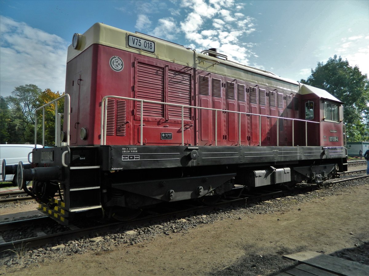 18. Leipziger Eisenbahntage: 107 018 die  Brillenschlange  V75 unterwegs für die  Deutsche Railsystems  als Gastlok am 15.10.2016 in Leipzig-Plagwitz.