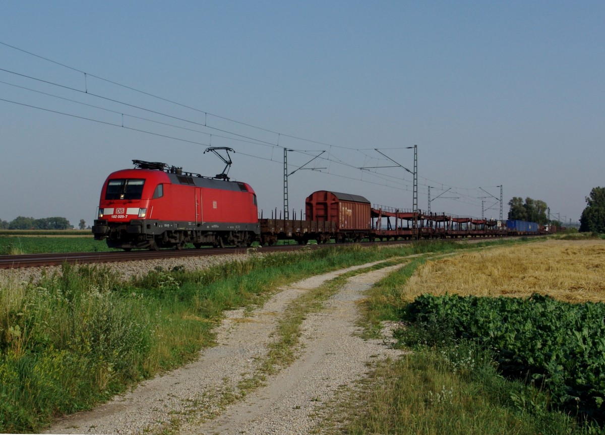 182 025 mit einem Güterzug am 17.07.2007 bei Langenisarhofen.