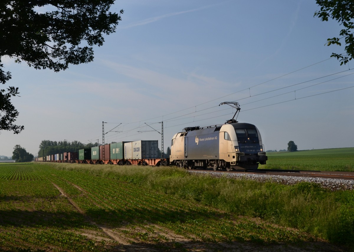 182 519 mit einem Containerzug am 08.06.2013 bei Langenisarhofen.
