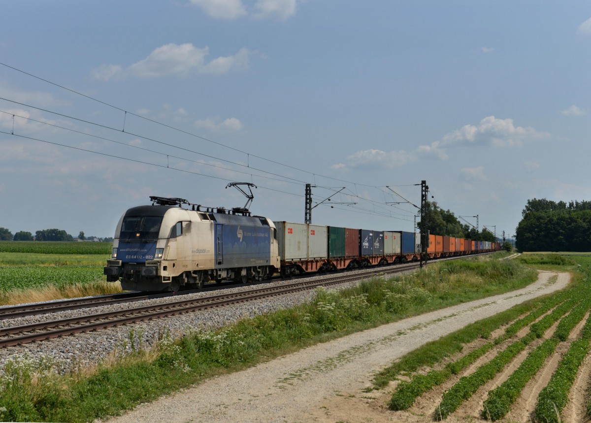 182 522 mit einem Containerzug am 14.07.2013 bei Langenisarhofen.