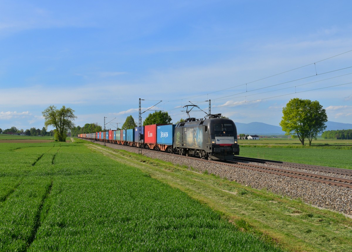 182 527 mit einem Containerzug am 08.05.2015 bei Langenisarhofen. 