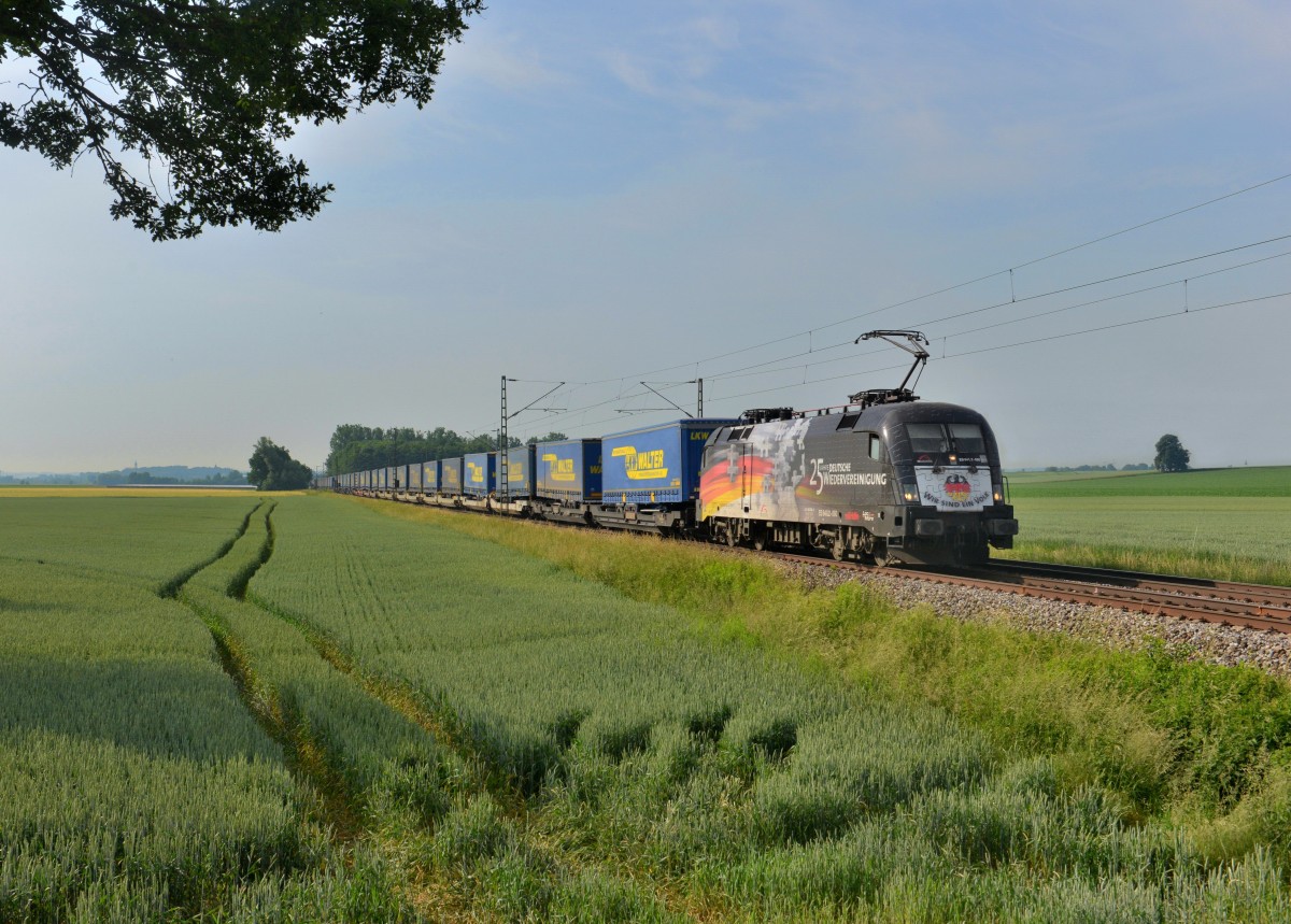 182 560 mit DGS 43944 am 13.06.2015 bei Langenisarhofen. 