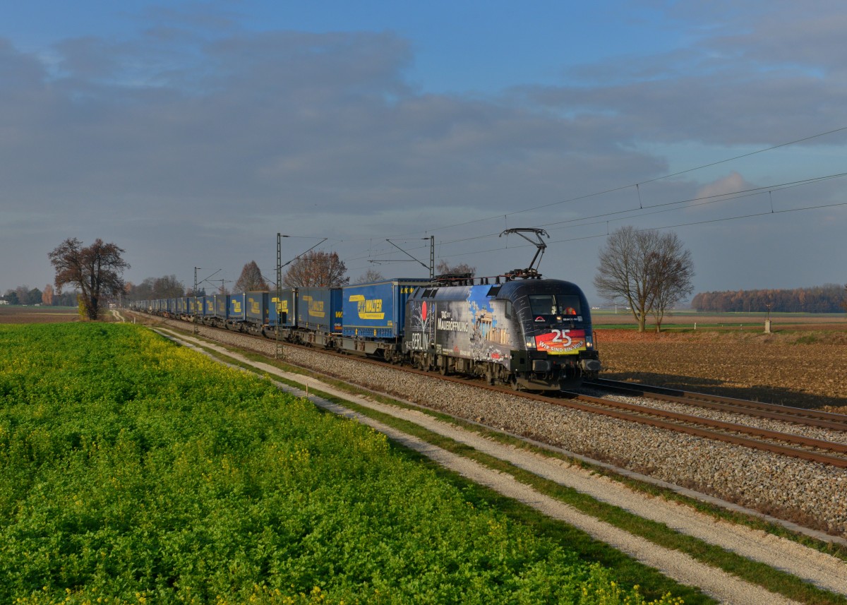 182 560 mit DGS 43945 am 12.11.2015 bei Langenisarhofen. 