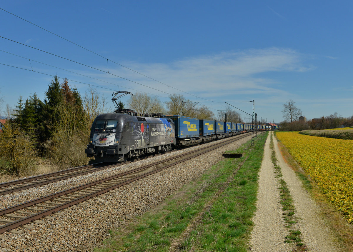182 560 mit DGS 43946 am 31.03.2016 bei Langenisarhofen. 