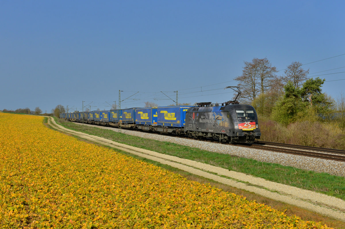 182 560 mit DGS 43947 am 02.04.2016 bei Langenisarhofen. 