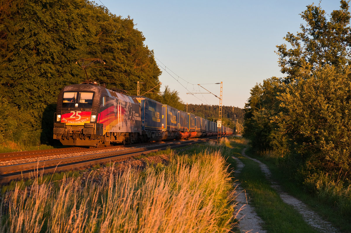 182 560 MRCE/crossrail mit einem LKW-Walter KLV-Zug bei Postbauer-Heng Richtung Nürnberg, 27.06.2019