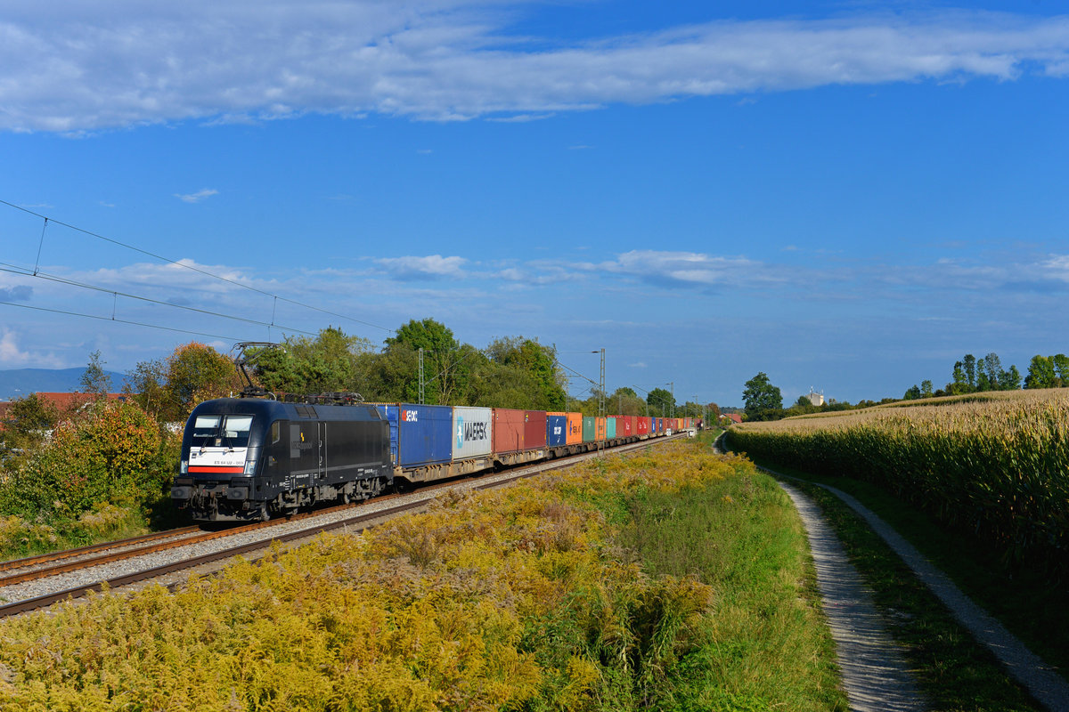 182 569 mit einem Containerzug am 26.09.2017 bei Langenisarhofen. 