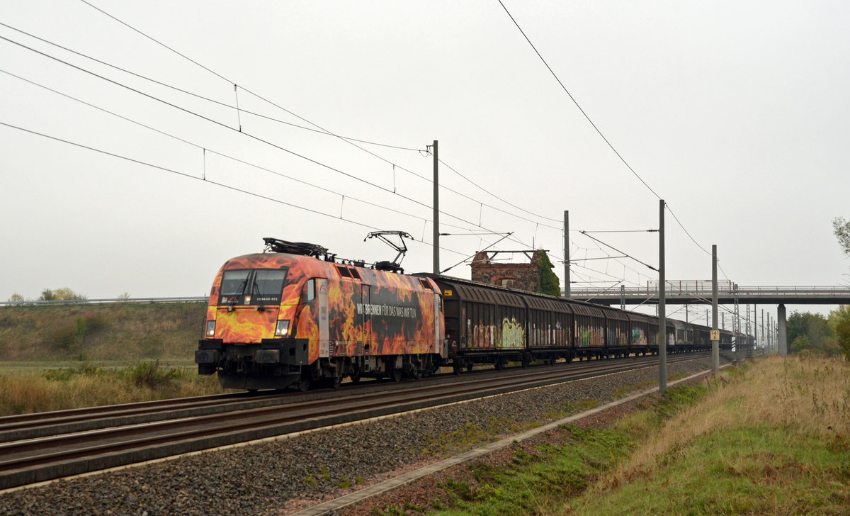 182 572 schleppte am 06.10.19 den sonntäglichen leeren Papierzug aus Rostock nach Italien. Hier rollt er durch Brehna Richtung Halle(S).