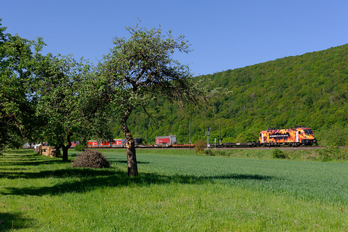 182 572 TXL  Wir brennen für das was wir tun  mit einem KLV-Zug bei Wernfeld Richtung Gemünden, 07.05.2020