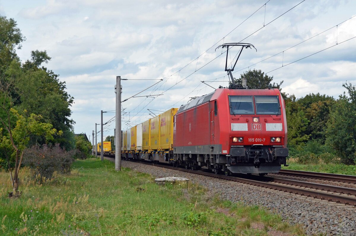 185 019 führte am 13.08.23 den aus Großbeeren kommenden DHL-Containerzug durch Greppin Richtung Bitterfeld.