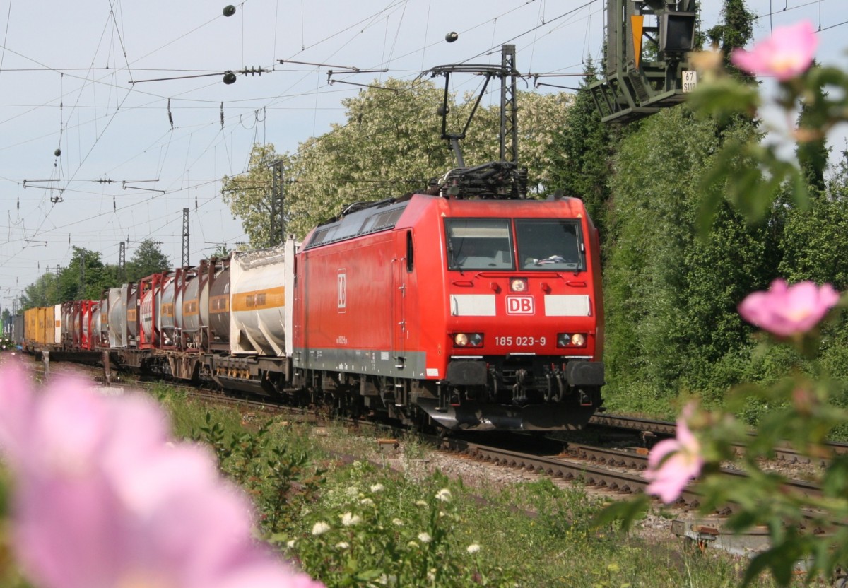 185 023 mit Gterzug Richtung Basel am 09.05.2011 in Herbolzheim (Breisgau)
