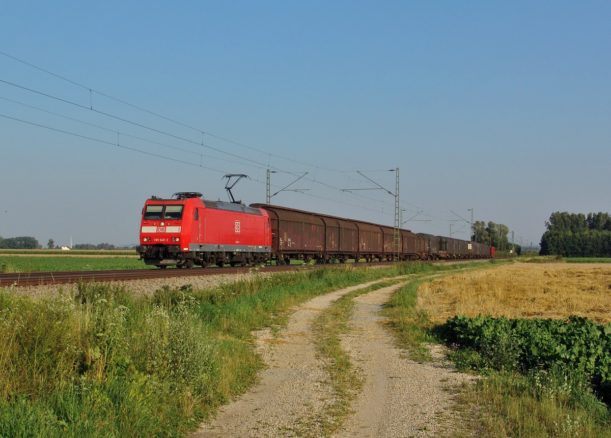 185 045 mit einem Güterzug am 17.07.2007 bei Langenisarhofen. 