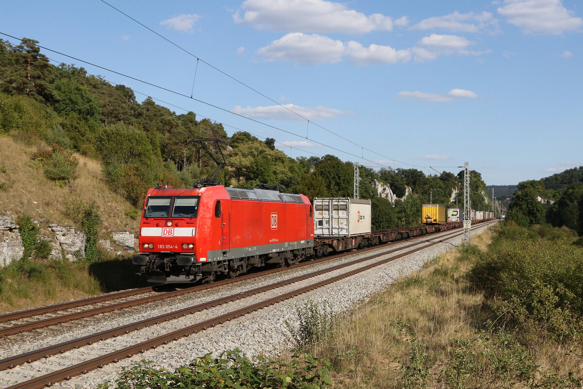 185 054 mit einem Containerzug am 9. August 2022 bei Hagenacker.