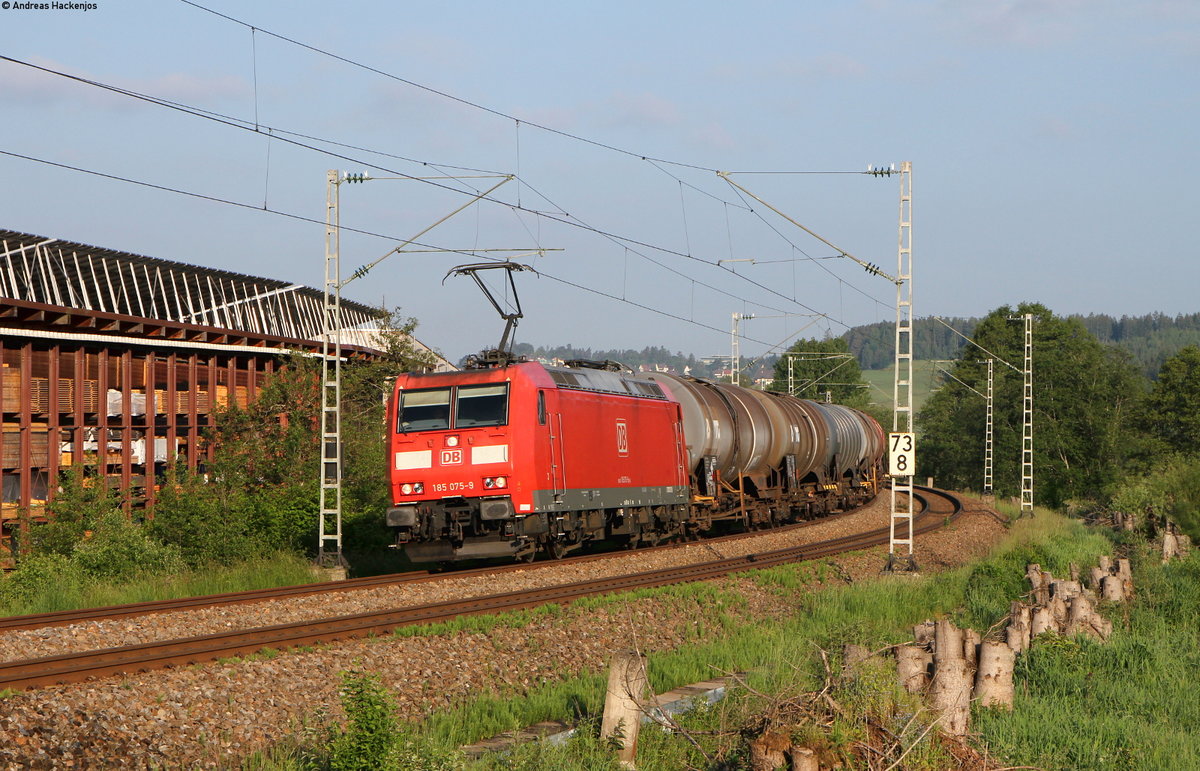 185 075-9 mit dem GC 60482 (Karlsruhe Raffiniere-Rammelswiesen) bei Peterzell 10.6.16